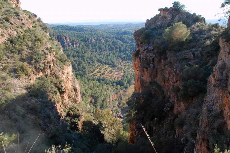 616 OLOCAU DES DE LES SEUES PENYES