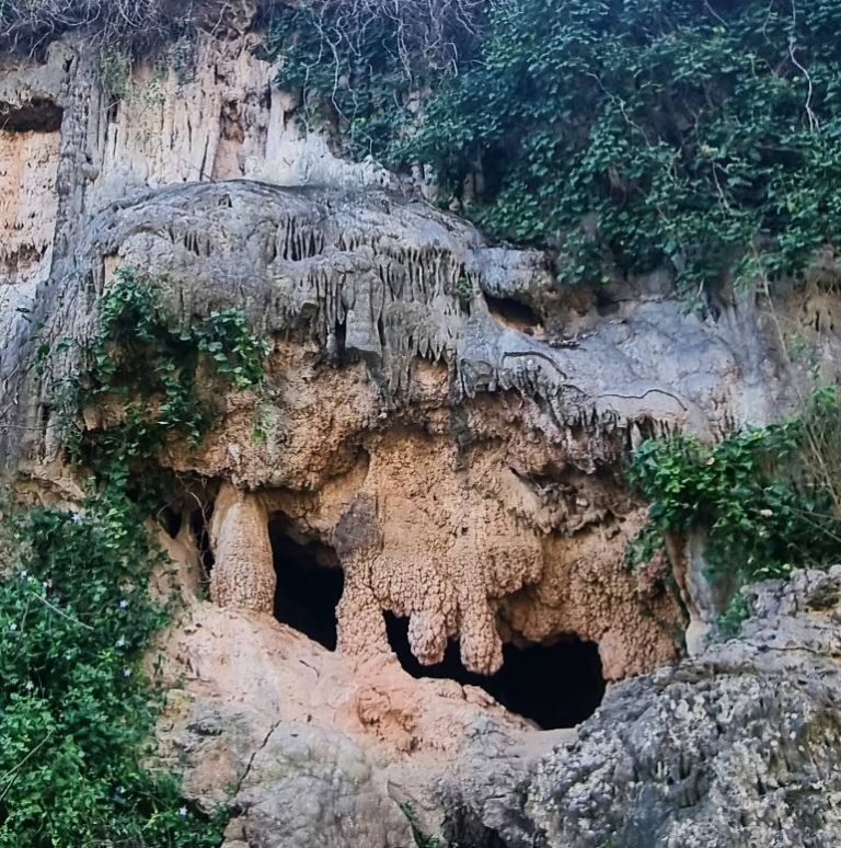 636 RUTA GEOLÒGICA PEL RIU SELLENT